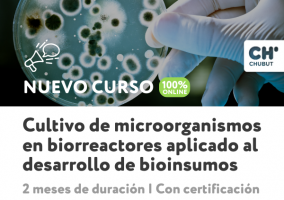 BIOINSUMOS WEB NUEVO