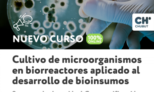 miniatura del curso